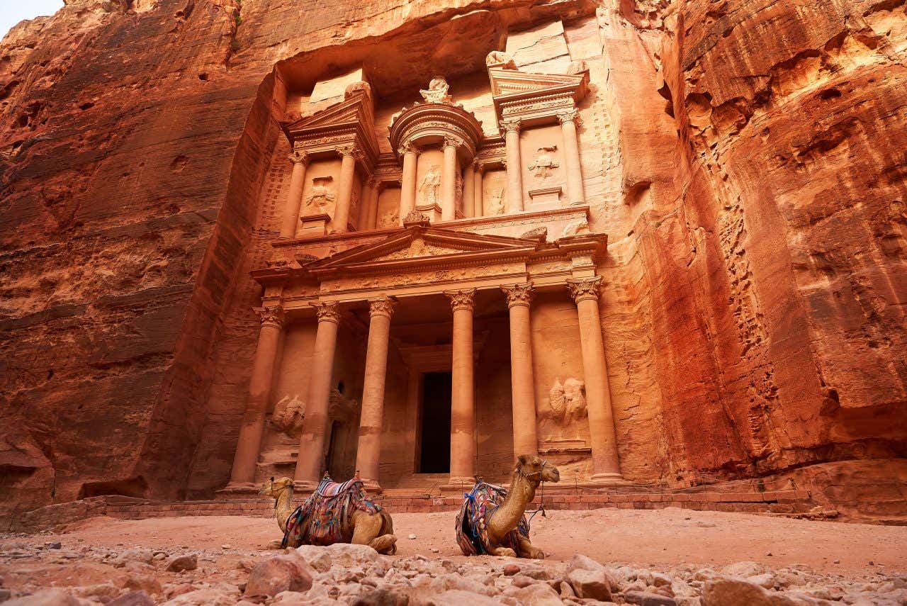 Des chameaux devant Pétra, la cité taillée dans la pierre en Jordanie