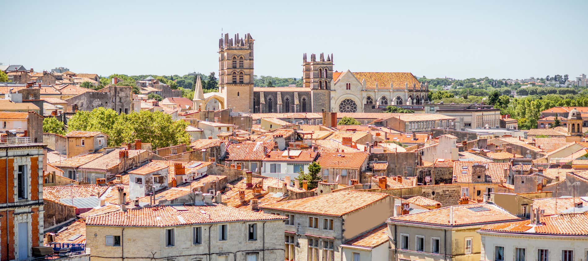 Que faire à Montpellier : à la découverte du Languedoc