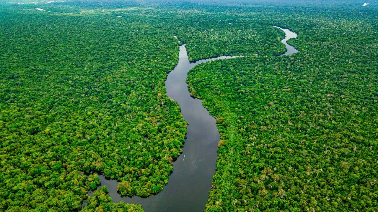 An aerial view of a river near Leticia, Colombia.