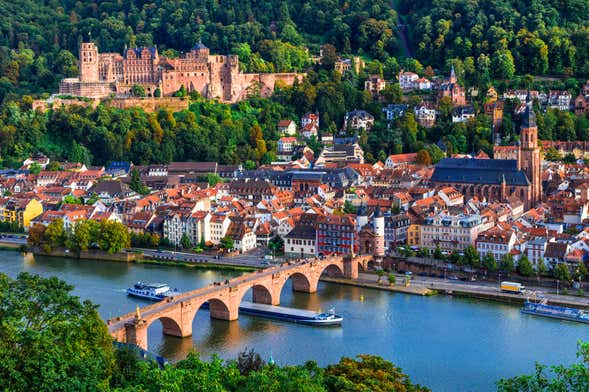 Excursão privada de trem a Heidelberg