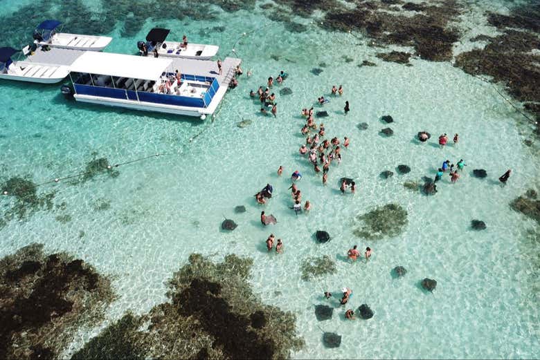 Panoramica di Stingray City