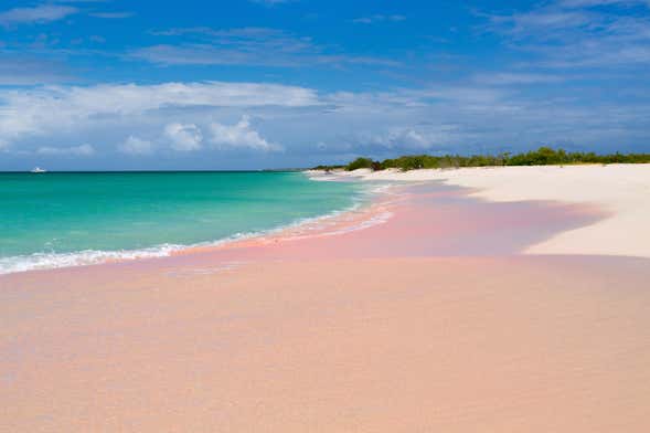 Excursión a la isla de Barbuda