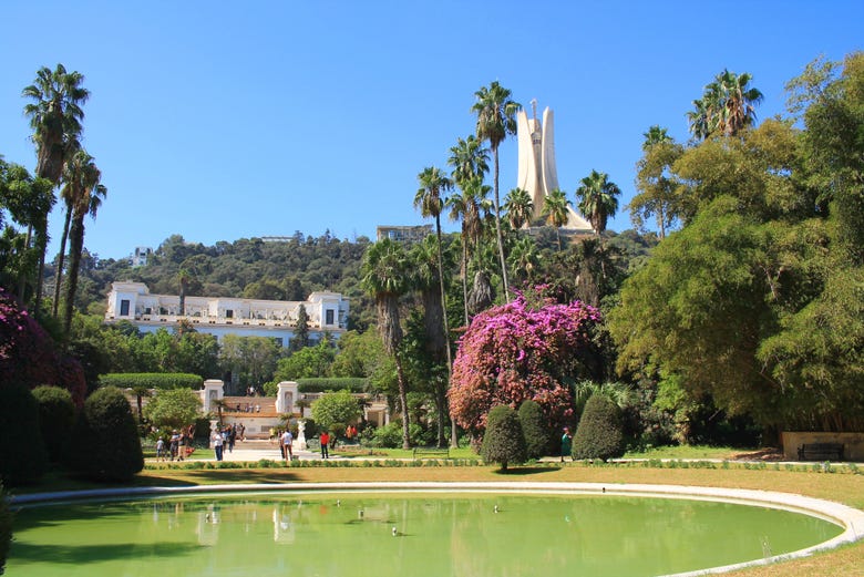 O que fazer em Argel (do kasbah ao jardim botânico)