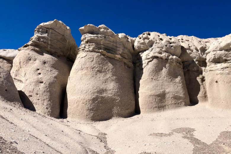 Hongos de Tocota in Argentina