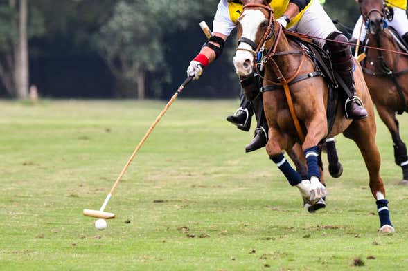 Partido de polo en Buenos Aires con guía local