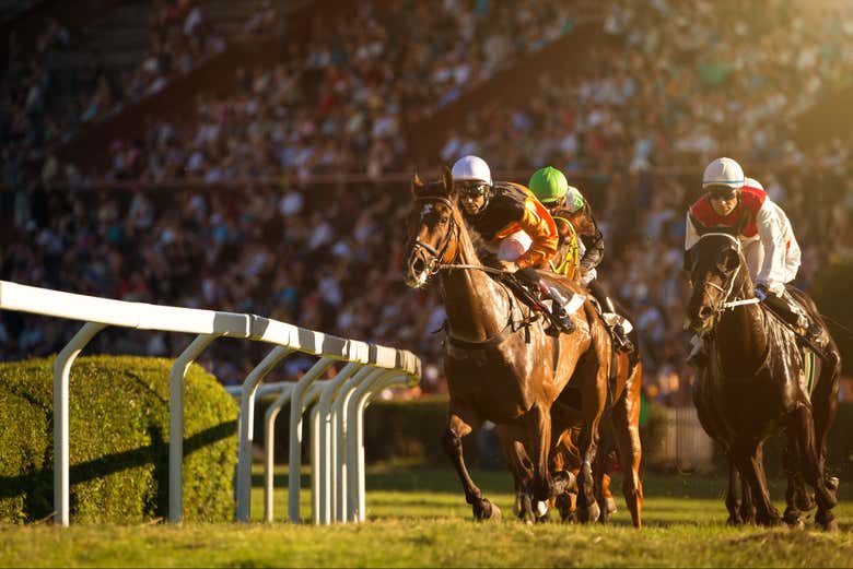 Asistiremos a una carrera de caballos en el Hipódromo de Palermo