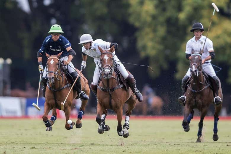 Presenciaremos un partido de polo del Abierto de Palermo