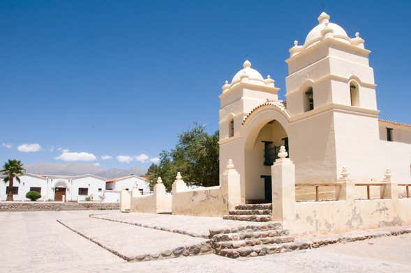 Excursión a Molinos y Cachi