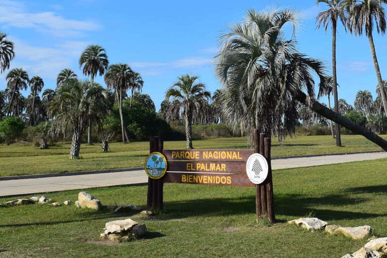 Excursión al Parque Nacional El Palmar desde Colón