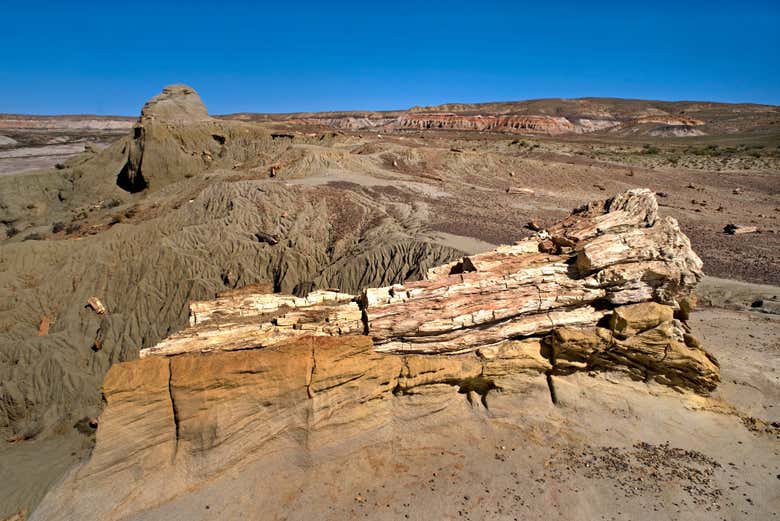 Bosque petrificado de Sarmiento