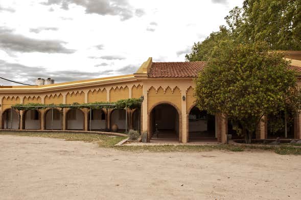 Excursión por las bodegas de Colonia Caroya