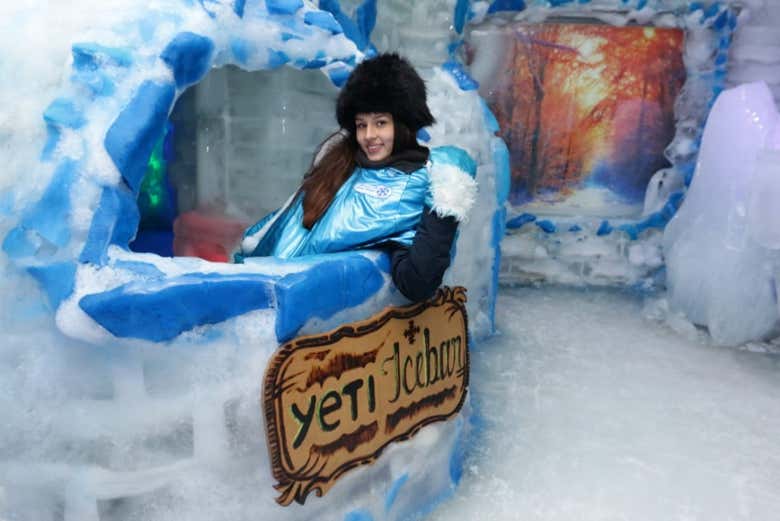 Yeti Ice Bar in El Calafete, El Calafate