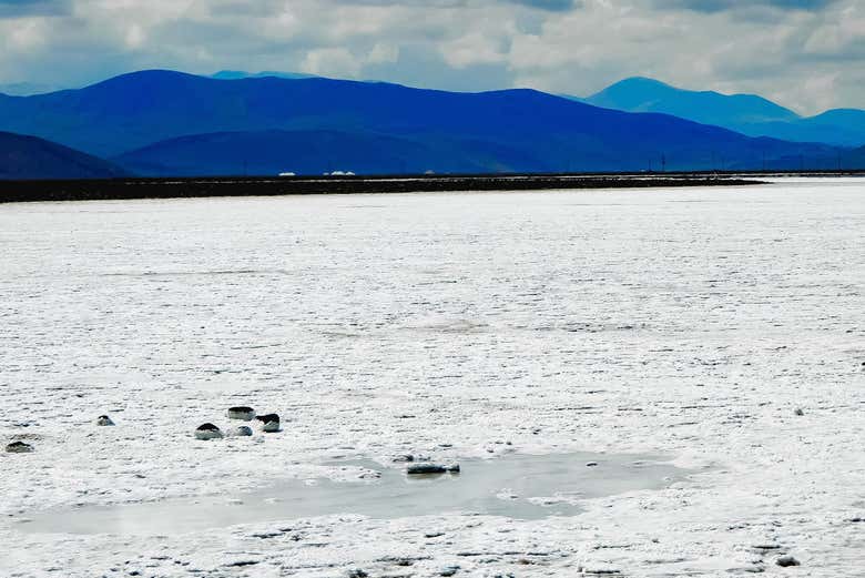 Salar del Hombre Muerto