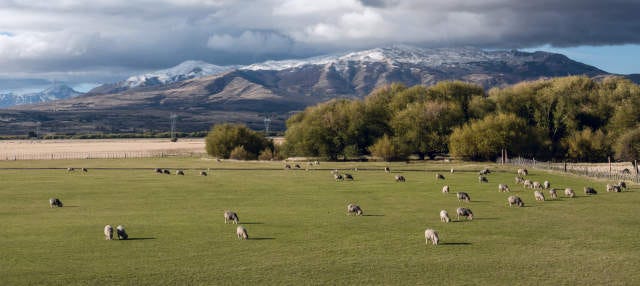 Excursões, visitas guiadas e atividades em Esquel 