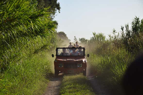 Tour en Citroën Méhari