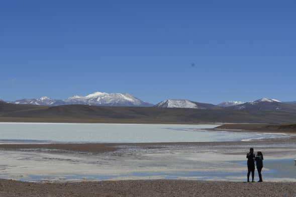 Excursión a la Laguna Brava