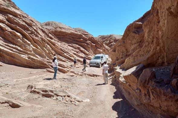 Excursión a la Quebrada del Yeso