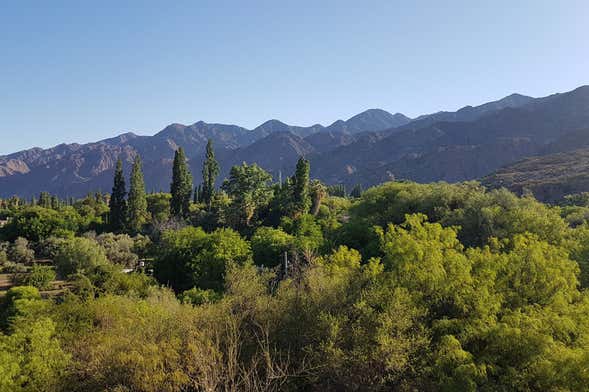 Excursión a Sanagasta y el Parque de Dinosaurios