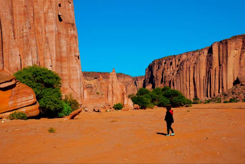 Caminando por Talampaya