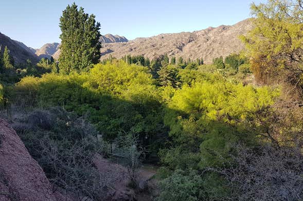 Tour en 4x4 por el Cerro de la Cruz