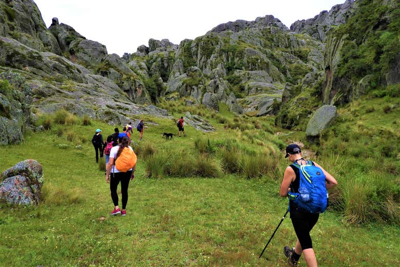 Hike the beautiful Los Gigantes mountains