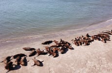 Paseo en barco por Mar del Plata