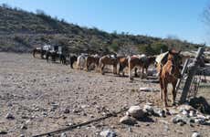 Paseo a caballo por la estancia Las Hermosas + Asado argentino