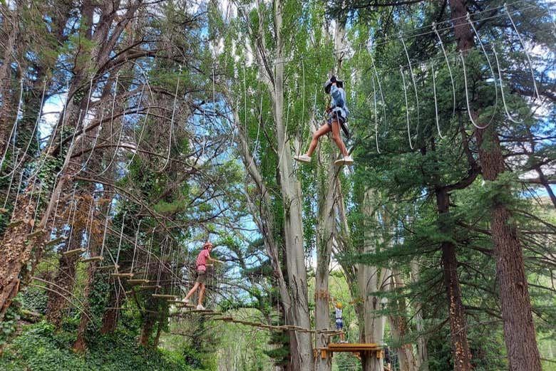 Climbing between the trees!