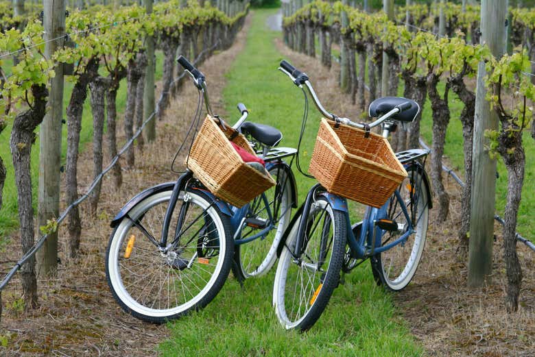 Bikes in Maipú 