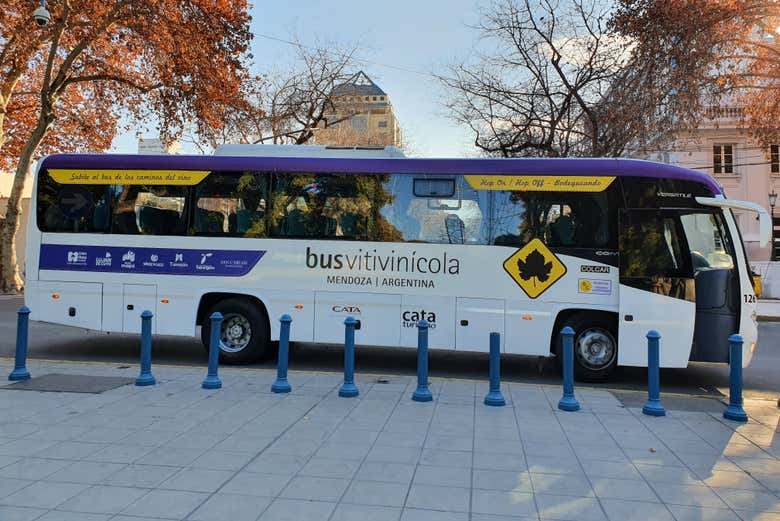 Bus vitivinícola