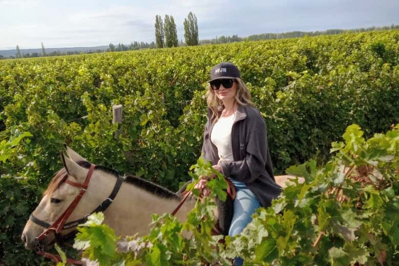 Atravessando os campos verdes de cultivo