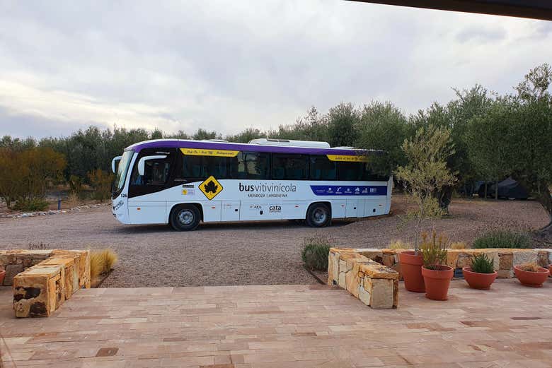 Percorrendo o Vale do Uco no ônibus vitivinícola, em Mendoza