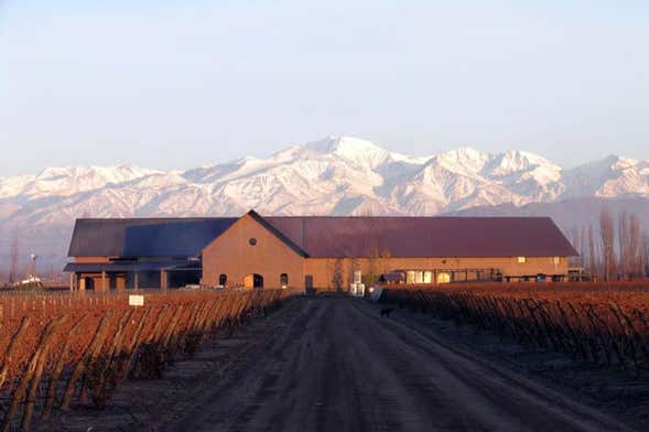 Malbec Tour of the Luján de Cuyo Wine Region