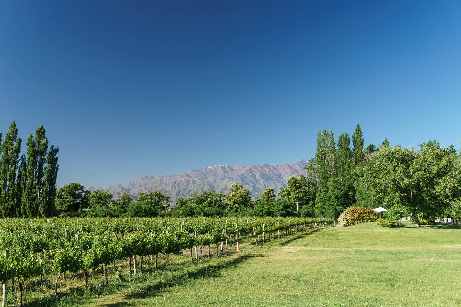 Uco Valley Wineries Private Tour, Mendoza | atelier-yuwa.ciao.jp