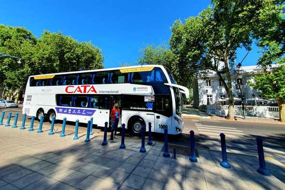 Tour nel sud della zona vitivinicola della Valle de Uco