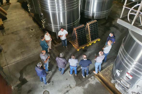 Tour por las bodegas de Río Negro