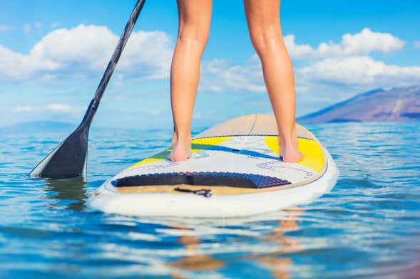 Paddle Surfing in the Potrerillos Reservoir