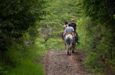 Paseo a caballo por la selva de Iguazú