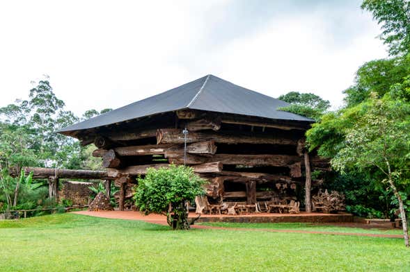 Tour privado por Puerto Iguazú