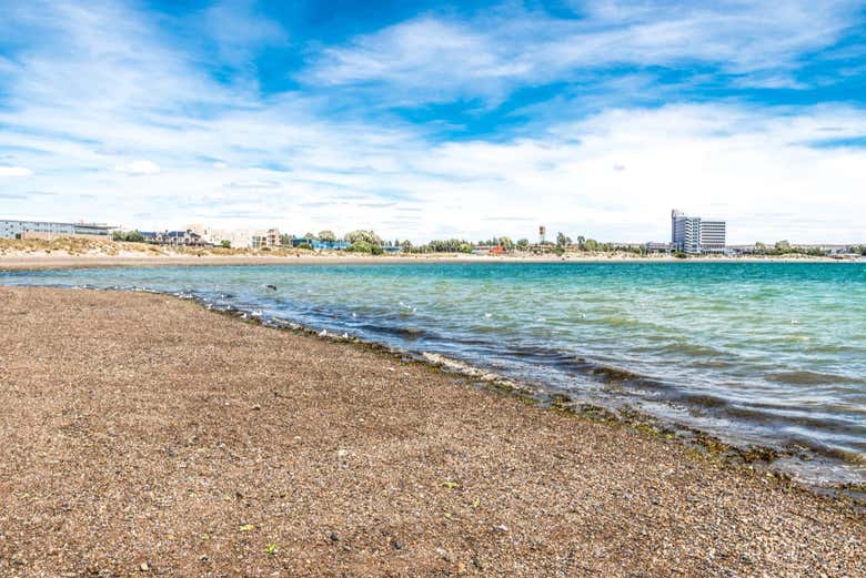 Puerto Madryn Beach