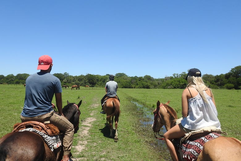 Horseback Riding at San Rafael Estate