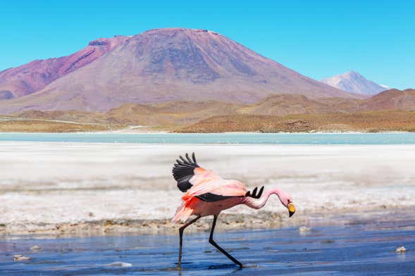 Excursión a la laguna del Toro