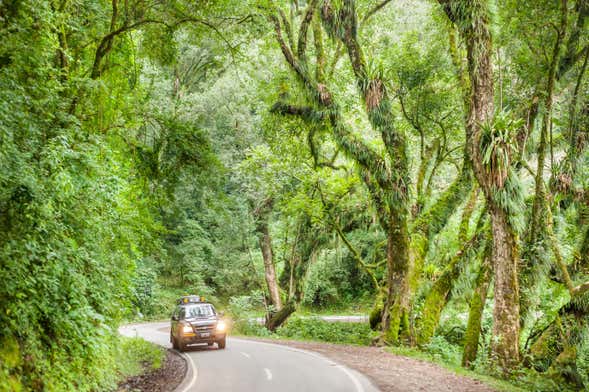 Day Trip to El Rey National Park