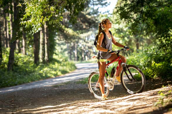 Tour en bicicleta por San Lorenzo