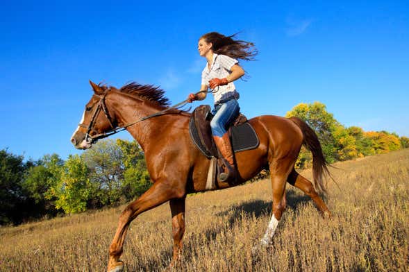 San Lorenzo Horseback Ride