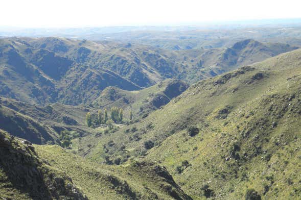 Río Grande & Nogolí Day Trip