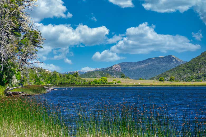 Landscapes of the Rosales Lagoons