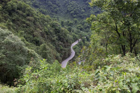 Excursión a las Yungas de Tucumán