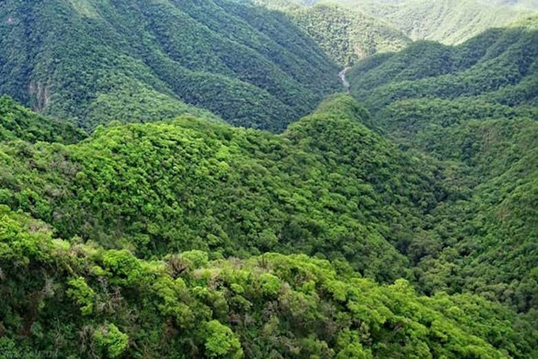 La Selva de Yungas