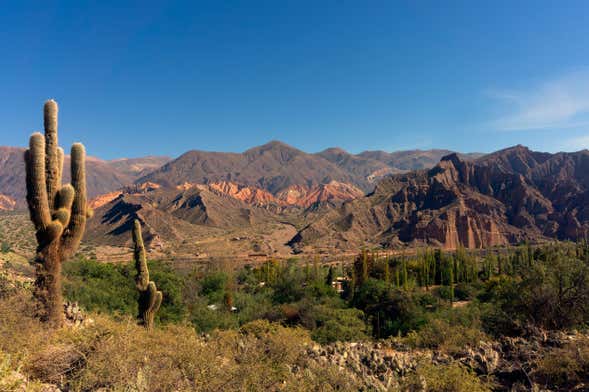 Excursão a Tafí del Valle, ruínas de Quilmes e Cafayate